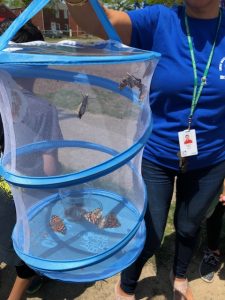 Students learn about the life cycle  of butterflies!