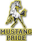 Image result for mustang pride