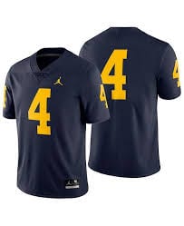 Image result for michigan jersey