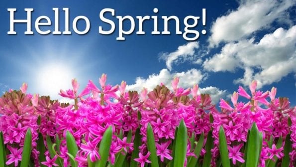 Spring is here! Rejoice