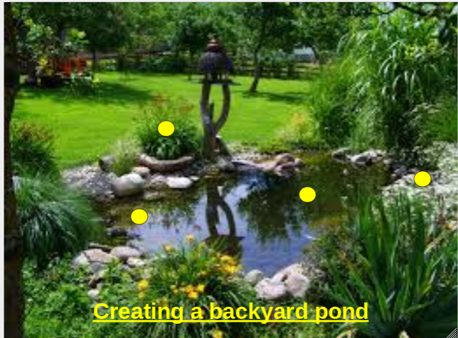 backyard pond surrounded by rocks and plants