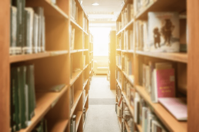 د. ماليكو- بيان صحفي # 32: عودة الكتب الرقمية لمكتبات المدارس