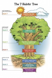 7-habits-tree-682x1024