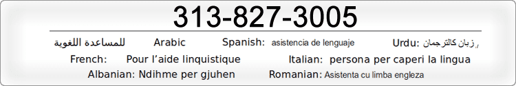 Language Assistance Call 313-827-3005